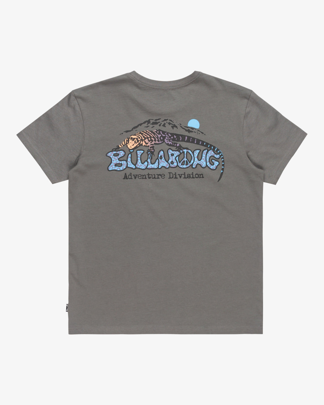 Billabong Boys Lizard Mountain T-Shirt (8-16 Yrs) - Slate Grey - ManGo Surfing