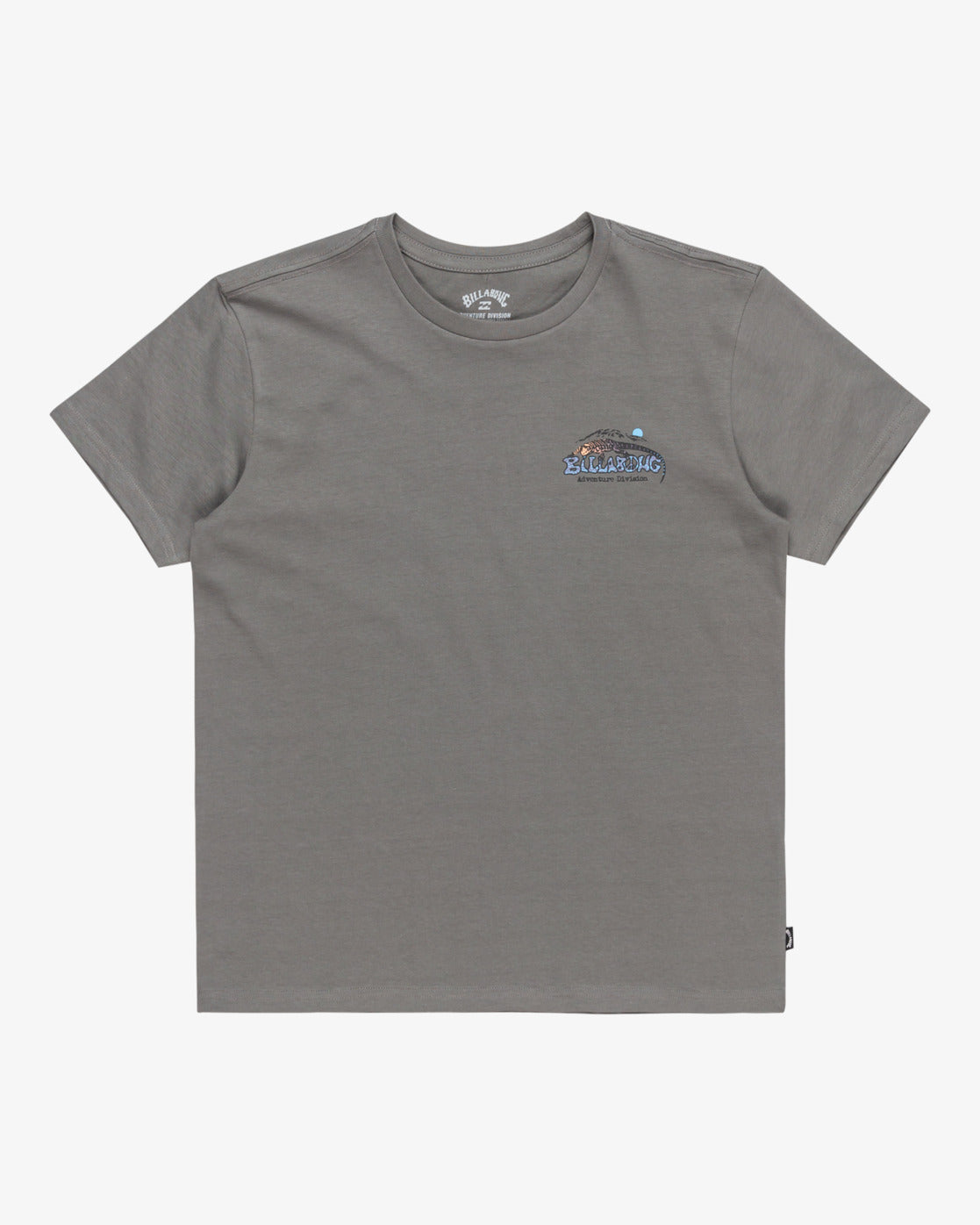 Billabong Boys Lizard Mountain T-Shirt (8-16 Yrs) - Slate Grey - ManGo Surfing
