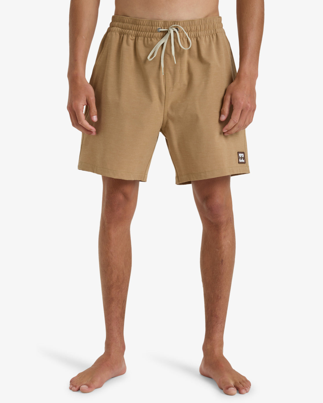 Billabong Mens Every Other Day Swim Shorts - Vintage Brown - ManGo Surfing