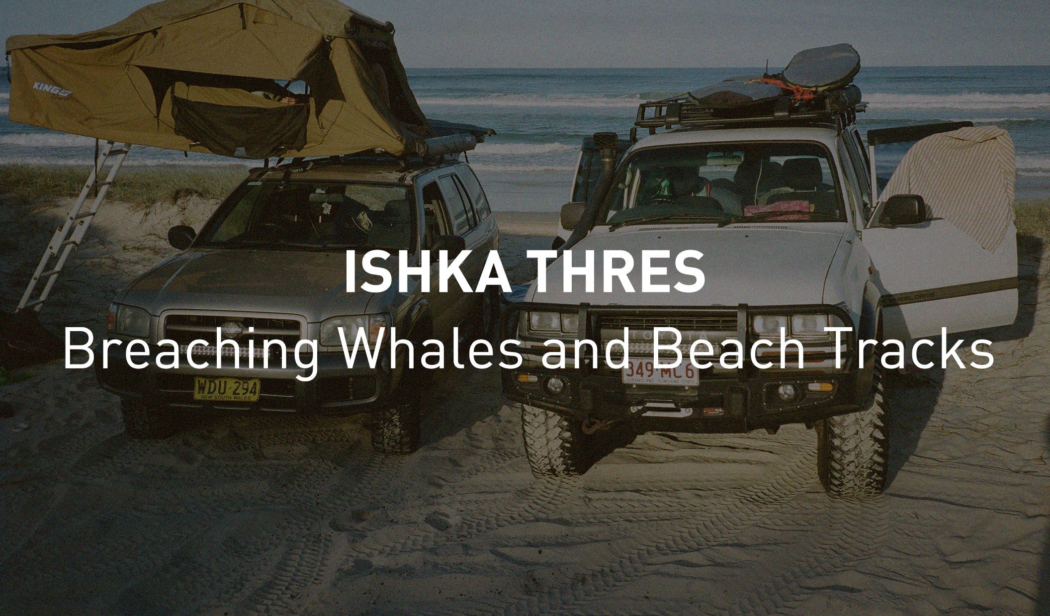 Breaching Whales and Beach Tracks: Life in Australia with Ishka Thres