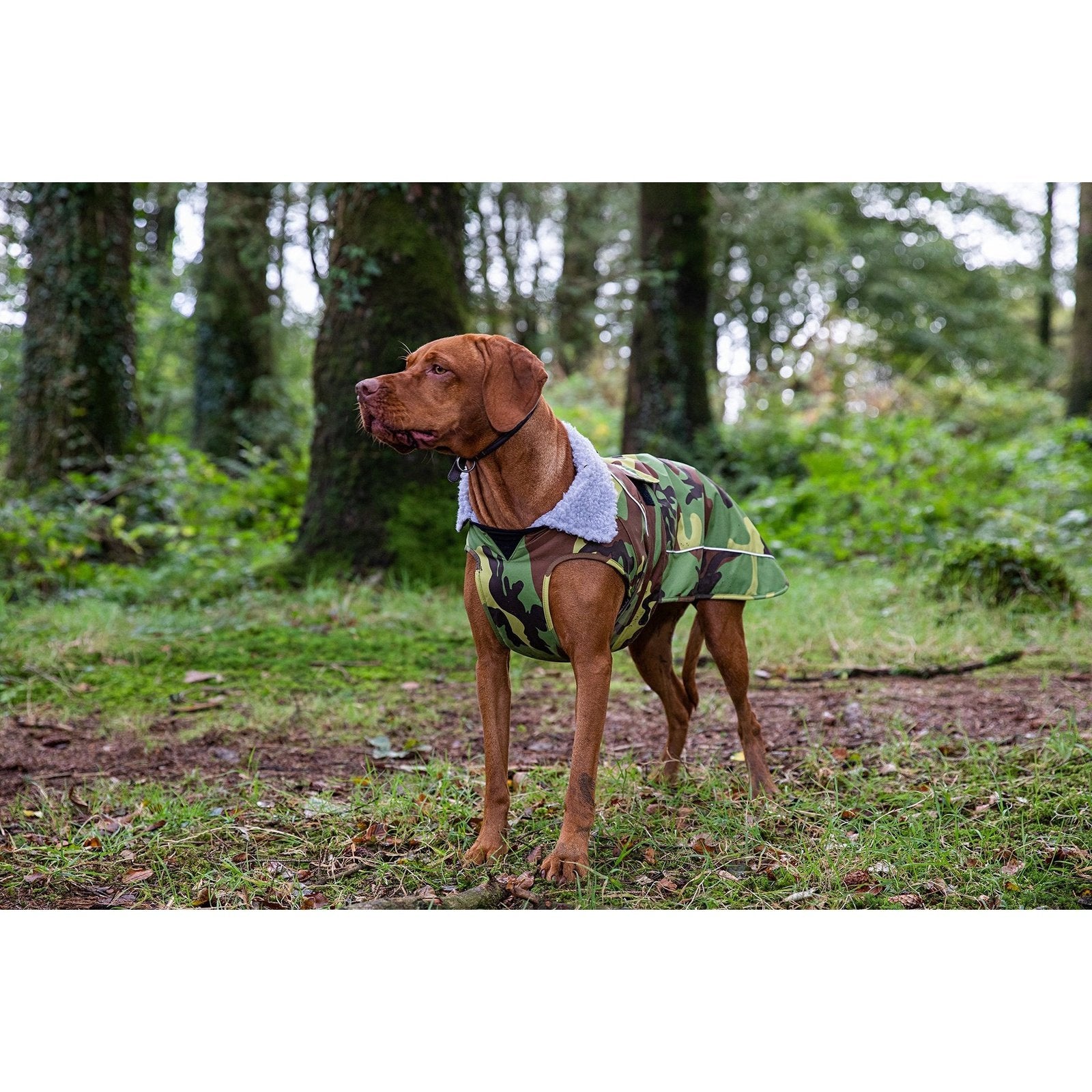 Dryrobe Dog Coat (XX-Large) - Camo Grey - ManGo Surfing