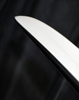 Firewire Evo - 5'3 - Helium 2.0
