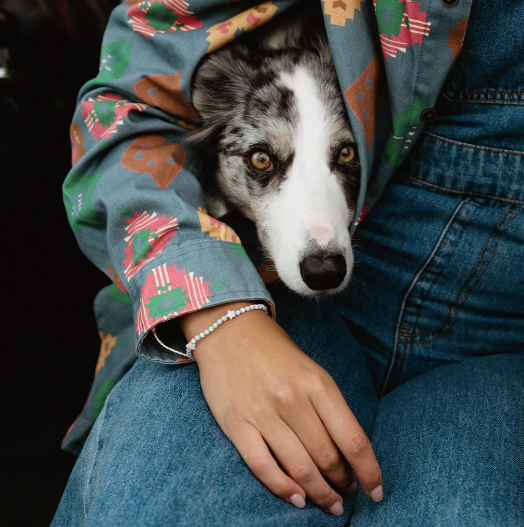 A close-up lifestyle shot of a dog peeking out from under a person's blue denim jacket. The person is wearing blue jeans and a gray patterned shirt, and the dog has a white and gray merle coat.