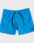 Quiksilver Everyday Volley 13" Boys Swim Shorts - Blithe - ManGo Surfing