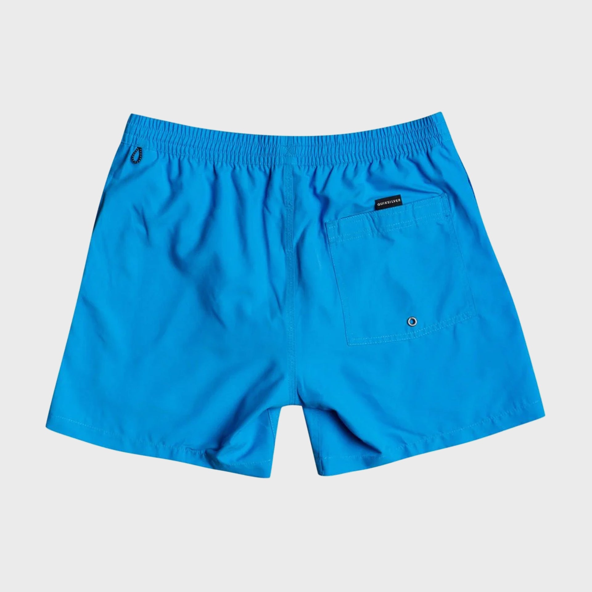 Quiksilver Everyday Volley 13&quot; Boys Swim Shorts - Blithe - ManGo Surfing
