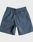 Quiksilver Everyday Volley 13" Boys Swim Shorts - Bering Sea - ManGo Surfing